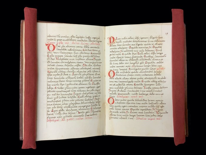 KSRL_MS_C66_folios_28v-29r